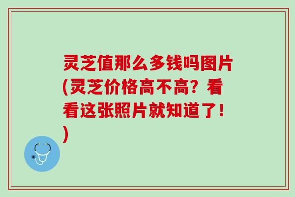 灵芝值那么多钱吗图片(灵芝价格高不高？看看这张照片就知道了！)