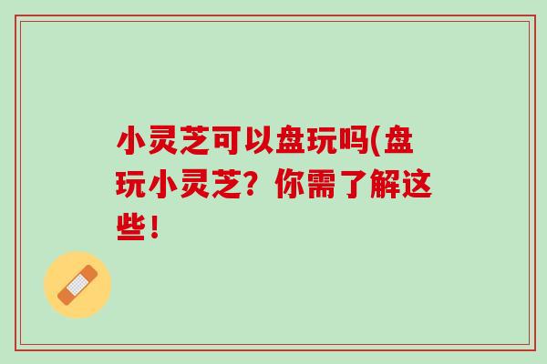 小灵芝可以盘玩吗(盘玩小灵芝？你需了解这些！