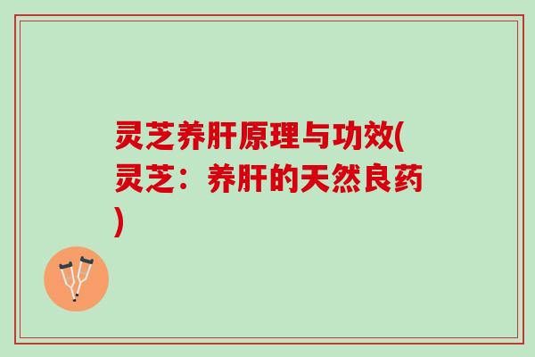 灵芝养肝原理与功效(灵芝：养肝的天然良药)