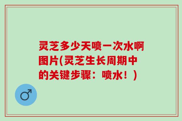 灵芝多少天喷一次水啊图片(灵芝生长周期中的关键步骤：喷水！)