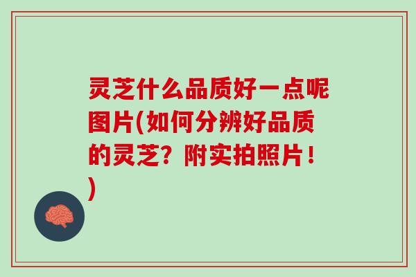 灵芝什么品质好一点呢图片(如何分辨好品质的灵芝？附实拍照片！)