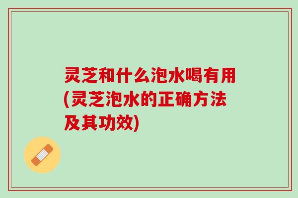 灵芝和什么泡水喝有用(灵芝泡水的正确方法及其功效)