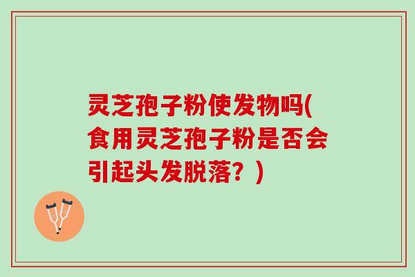 灵芝孢子粉使发物吗(食用灵芝孢子粉是否会引起头发脱落？)