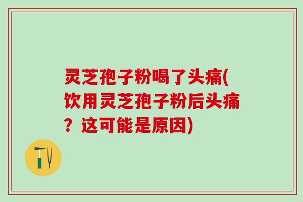 灵芝孢子粉喝了头痛(饮用灵芝孢子粉后头痛？这可能是原因)