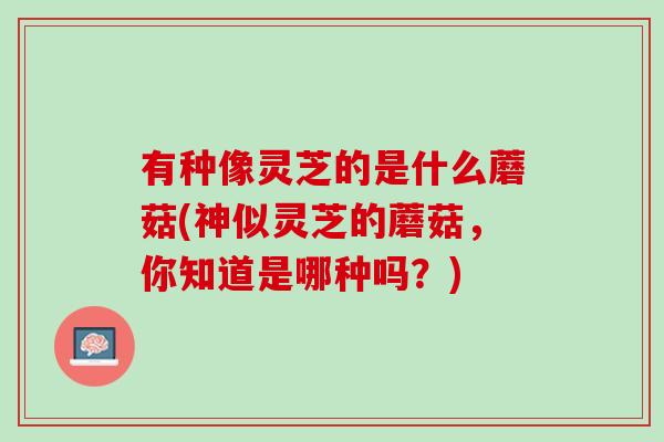 有种像灵芝的是什么蘑菇(神似灵芝的蘑菇，你知道是哪种吗？)