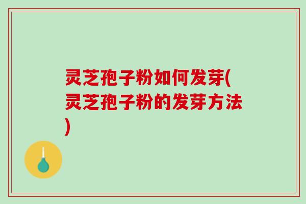 灵芝孢子粉如何发芽(灵芝孢子粉的发芽方法)