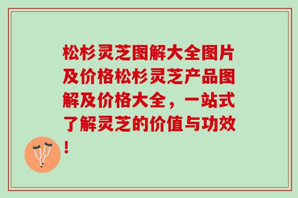 松杉灵芝图解大全图片及价格松杉灵芝产品图解及价格大全，一站式了解灵芝的价值与功效！