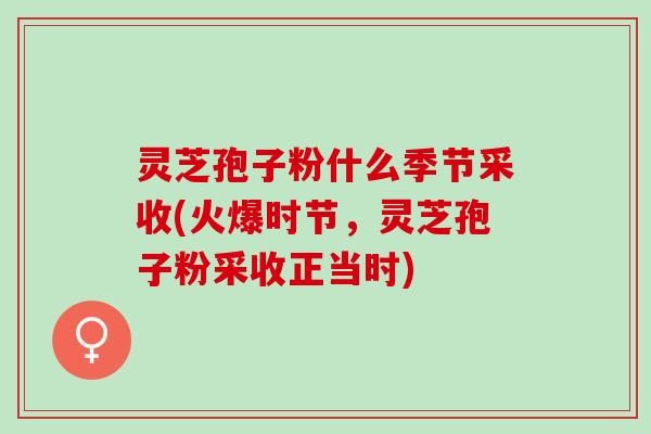 灵芝孢子粉什么季节采收(火爆时节,灵芝孢子粉采收正当时) 灵芝孢子粉什么季节采收(火爆时节,灵芝孢子粉采收正当时)