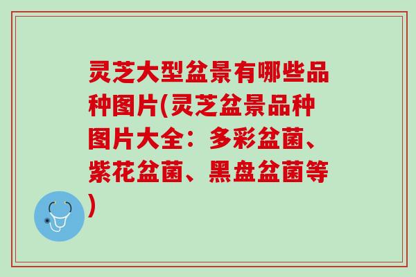 灵芝大型盆景有哪些品种图片(灵芝盆景品种图片大全：多彩盆菌、紫花盆菌、黑盘盆菌等)