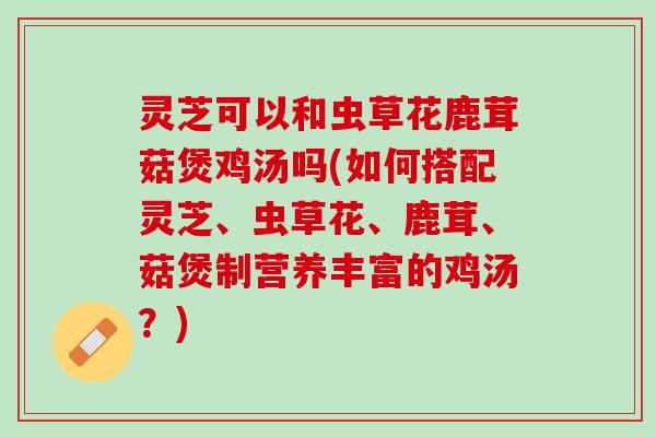 灵芝可以和虫草花鹿茸菇煲鸡汤吗(如何搭配灵芝、虫草花、鹿茸、菇煲制营养丰富的鸡汤？)