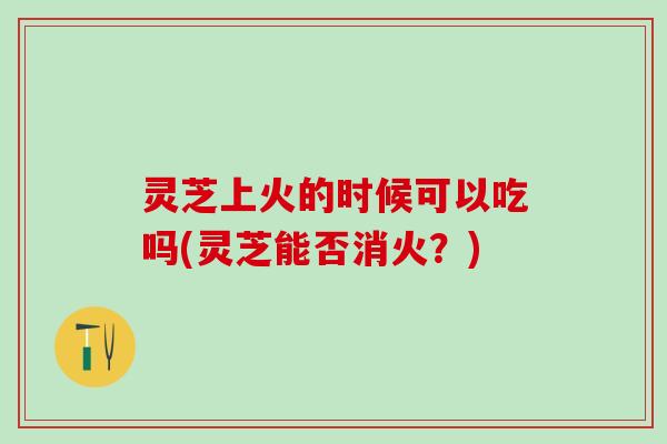 灵芝上火的时候可以吃吗(灵芝能否消火?) 灵芝上火的时候可以吃吗(灵芝能否消火?)
