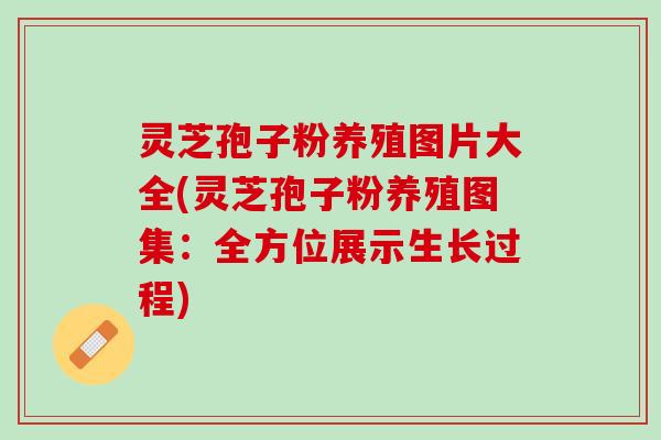 灵芝孢子粉养殖图片大全(灵芝孢子粉养殖图集：全方位展示生长过程)