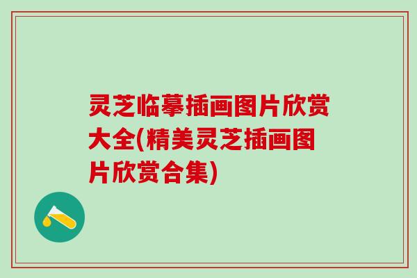 灵芝临摹插画图片欣赏大全(精美灵芝插画图片欣赏合集) 灵芝临摹插画图片欣赏大全(精美灵芝插画图片欣赏合集)