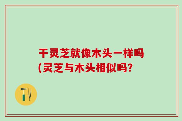 干灵芝就像木头一样吗(灵芝与木头相似吗？