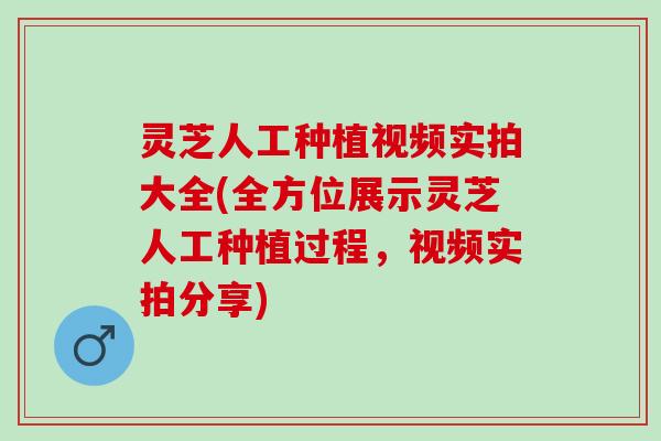 灵芝人工种植视频实拍大全(全方位展示灵芝人工种植过程,视频实拍分享) 灵芝人工种植视频实拍大全(全方位展示灵芝人工种植过程,视频实拍分享)