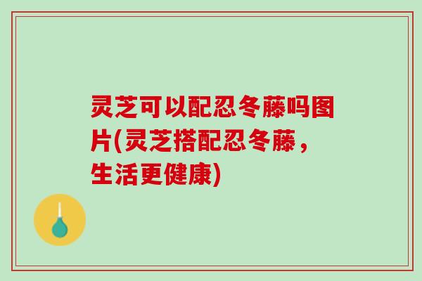 灵芝可以配忍冬藤吗图片(灵芝搭配忍冬藤，生活更健康)
