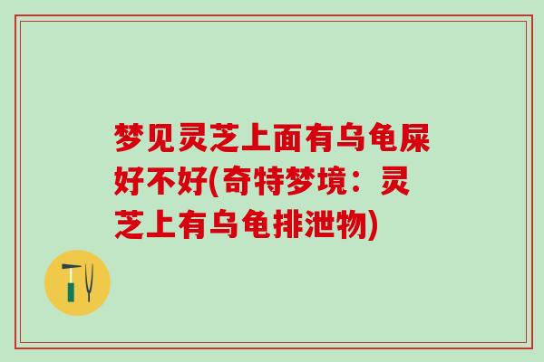 梦见灵芝上面有乌龟屎好不好(奇特梦境：灵芝上有乌龟排泄物)