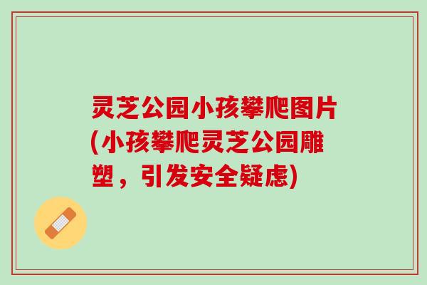 灵芝公园小孩攀爬图片(小孩攀爬灵芝公园雕塑，引发安全疑虑)
