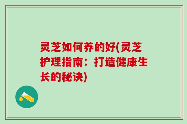 灵芝如何养的好(灵芝护理指南:打造健康生长的秘诀) 灵芝如何养的好(灵芝护理指南:打造健康生长的秘诀)