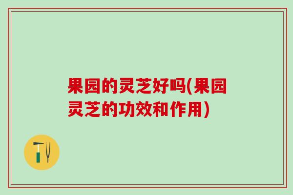 果园的灵芝好吗(果园灵芝的功效和作用)