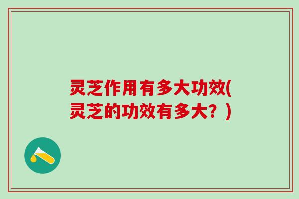 灵芝作用有多大功效(灵芝的功效有多大？)