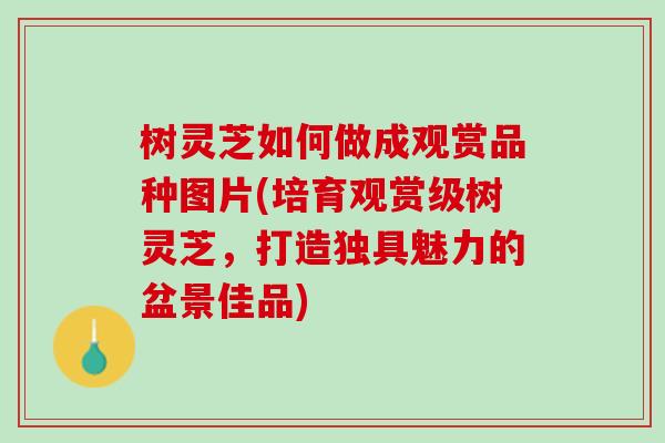 树灵芝如何做成观赏品种图片(培育观赏级树灵芝，打造独具魅力的盆景佳品)