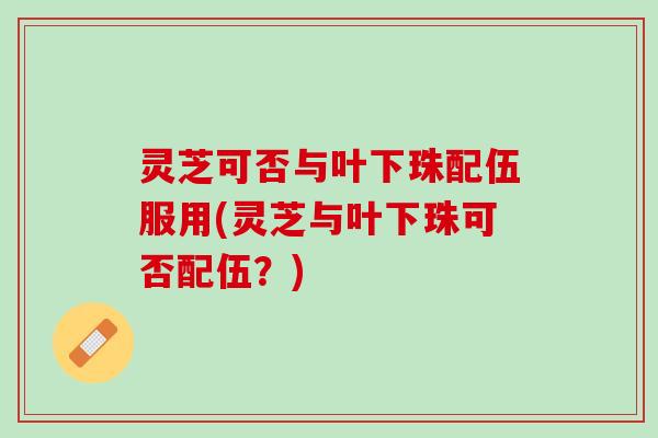 灵芝可否与叶下珠配伍服用(灵芝与叶下珠可否配伍?) 灵芝可否与叶下珠配伍服用(灵芝与叶下珠可否配伍?)