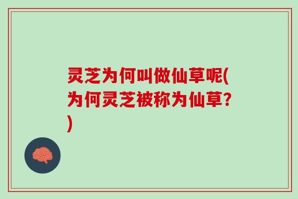 灵芝为何叫做仙草呢(为何灵芝被称为仙草？)