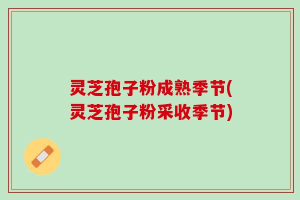 灵芝孢子粉成熟季节(灵芝孢子粉采收季节)