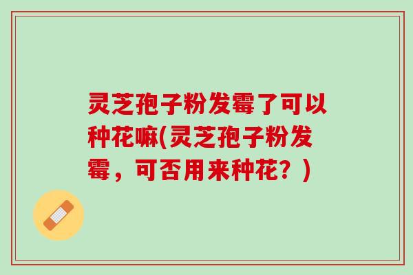 灵芝孢子粉发霉了可以种花嘛(灵芝孢子粉发霉，可否用来种花？)