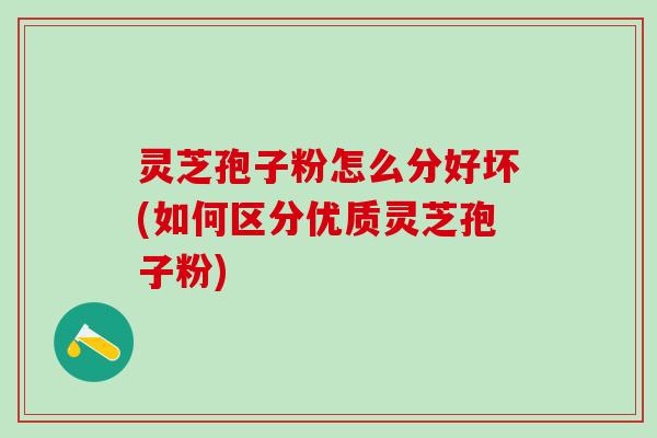 灵芝孢子粉怎么分好坏(如何区分优质灵芝孢子粉) 灵芝孢子粉怎么分好坏(如何区分优质灵芝孢子粉)