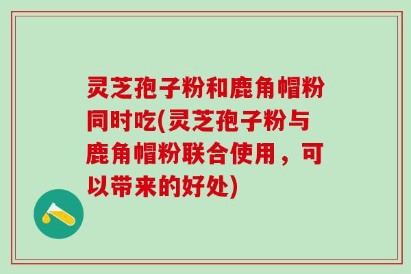 灵芝孢子粉和鹿角帽粉同时吃(灵芝孢子粉与鹿角帽粉联合使用,可以带来的好处) 灵芝孢子粉和鹿角帽粉同时吃(灵芝孢子粉与鹿角帽粉联合使用,可以带来的好处)