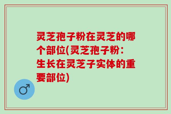 灵芝孢子粉在灵芝的哪个部位(灵芝孢子粉:生长在灵芝子实体的重要部位) 灵芝孢子粉在灵芝的哪个部位(灵芝孢子粉:生长在灵芝子实体的重要部位)