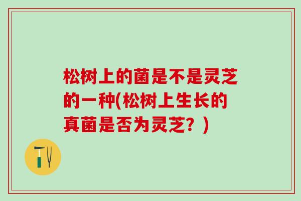 松树上的菌是不是灵芝的一种(松树上生长的真菌是否为灵芝?) 松树上的菌是不是灵芝的一种(松树上生长的真菌是否为灵芝?)