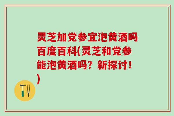 灵芝加党参宜泡黄酒吗百度百科(灵芝和党参能泡黄酒吗？新探讨！)