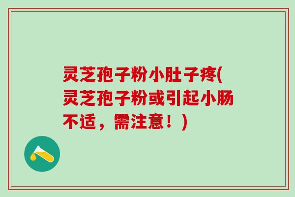 灵芝孢子粉小肚子疼(灵芝孢子粉或引起小肠不适,需注意!) 灵芝孢子粉小肚子疼(灵芝孢子粉或引起小肠不适,需注意!)