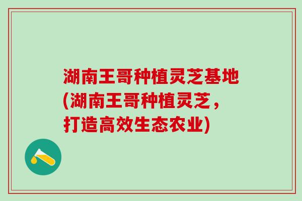 湖南王哥种植灵芝基地(湖南王哥种植灵芝，打造高效生态农业)
