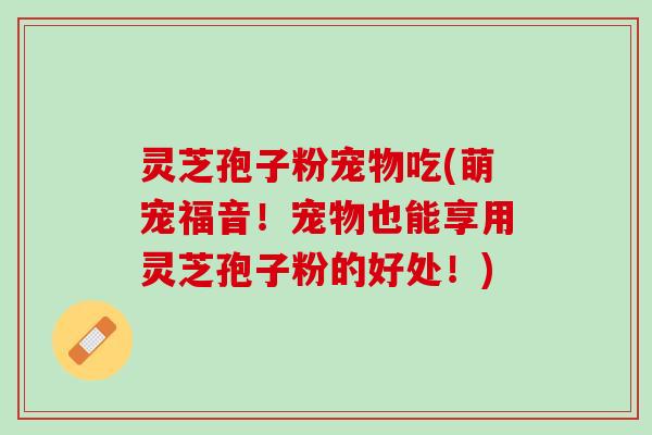 灵芝孢子粉宠物吃(萌宠福音!宠物也能享用灵芝孢子粉的好处!) 灵芝孢子粉宠物吃(萌宠福音!宠物也能享用灵芝孢子粉的好处!)