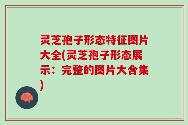 灵芝孢子形态特征图片大全(灵芝孢子形态展示：完整的图片大合集)