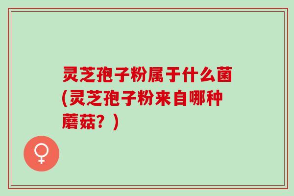 灵芝孢子粉属于什么菌(灵芝孢子粉来自哪种蘑菇?) 灵芝孢子粉属于什么菌(灵芝孢子粉来自哪种蘑菇?)