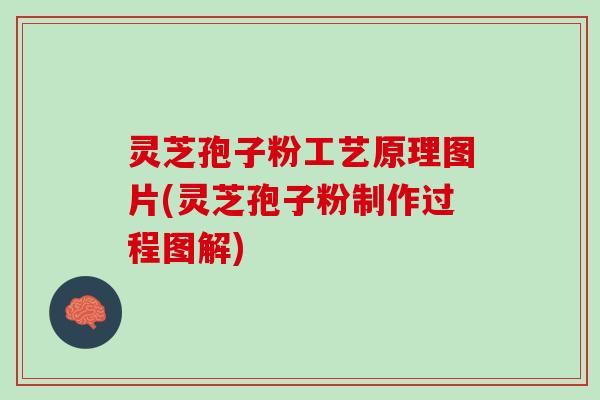 灵芝孢子粉工艺原理图片(灵芝孢子粉制作过程图解)