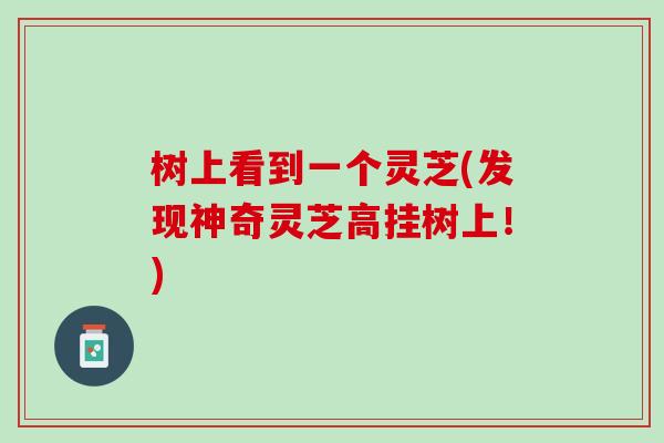 树上看到一个灵芝(发现神奇灵芝高挂树上！)