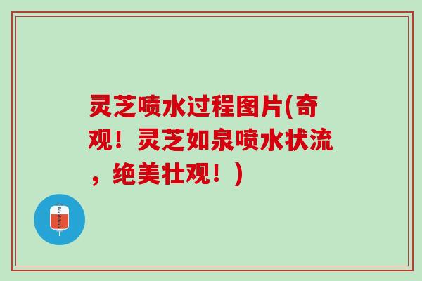 灵芝喷水过程图片(奇观！灵芝如泉喷水状流，绝美壮观！)