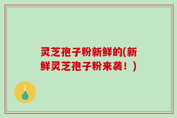灵芝孢子粉新鲜的(新鲜灵芝孢子粉来袭!) 灵芝孢子粉新鲜的(新鲜灵芝孢子粉来袭!)