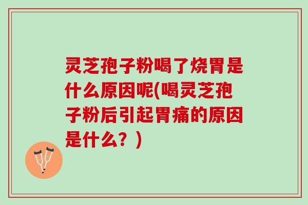 灵芝孢子粉喝了烧胃是什么原因呢(喝灵芝孢子粉后引起胃痛的原因是什么？)