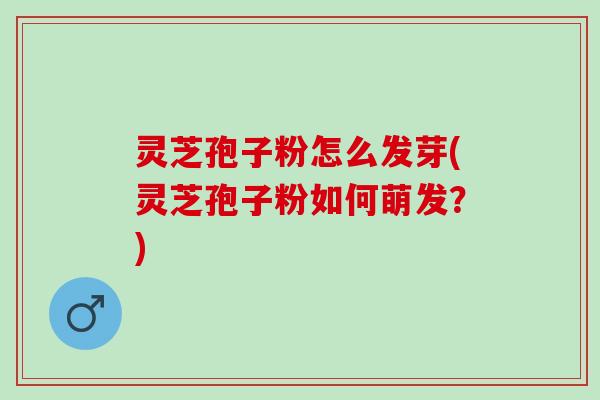 灵芝孢子粉怎么发芽(灵芝孢子粉如何萌发？)