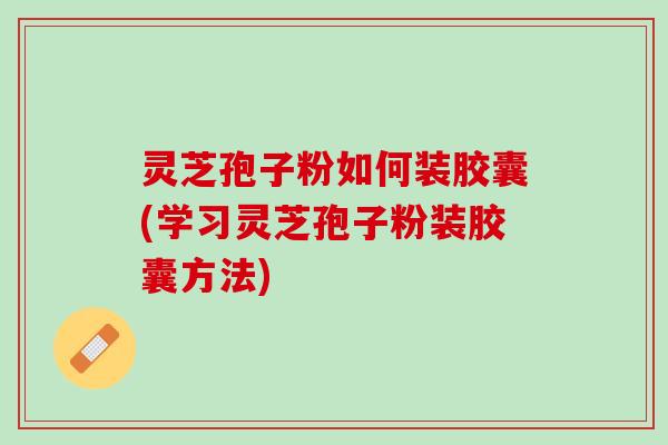 灵芝孢子粉如何装胶囊(学习灵芝孢子粉装胶囊方法)