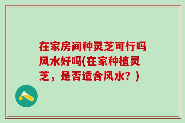 在家房间种灵芝可行吗风水好吗(在家种植灵芝，是否适合风水？)
