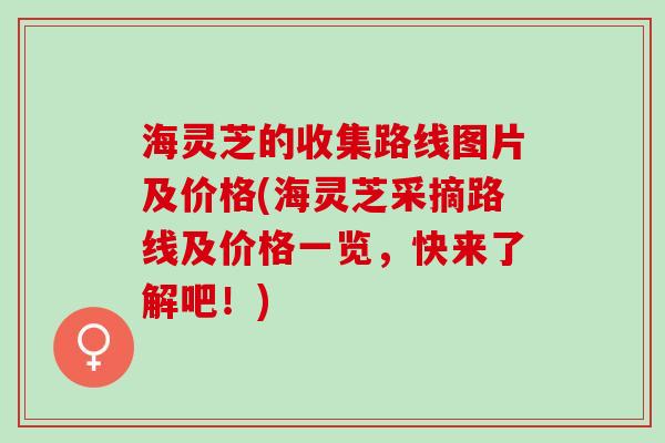 海灵芝的收集路线图片及价格(海灵芝采摘路线及价格一览，快来了解吧！)