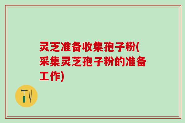 灵芝准备收集孢子粉(采集灵芝孢子粉的准备工作)